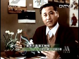 王树忱