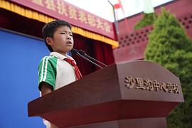 白泽泽