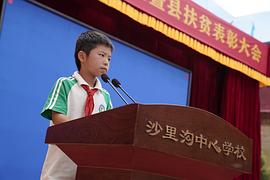 白泽泽