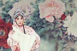 史依弘