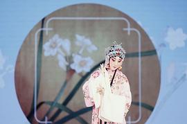 史依弘
