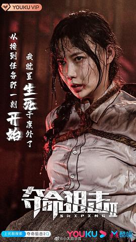毕雪
