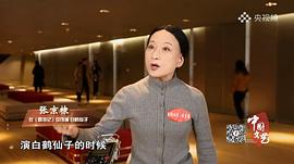 张京棣