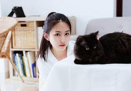 曹明悦