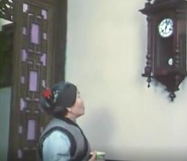赵丽蓉