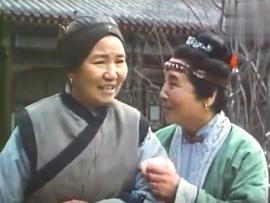 赵丽蓉