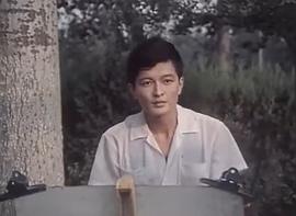 杨亚洲