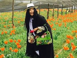 杨二车娜姆