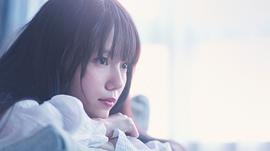 宫崎葵