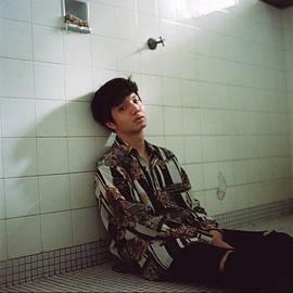 瓦辛·帕努纳彭