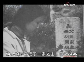 罗燕