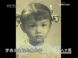 罗燕