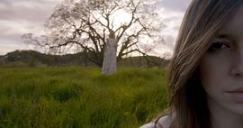 Cynthia Aileen Strahan