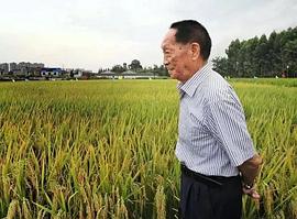 袁隆平