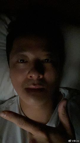 蔡鹭