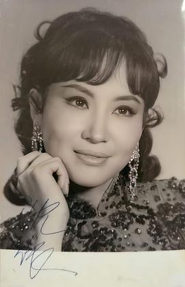 沈依