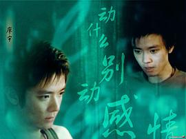 张子晨