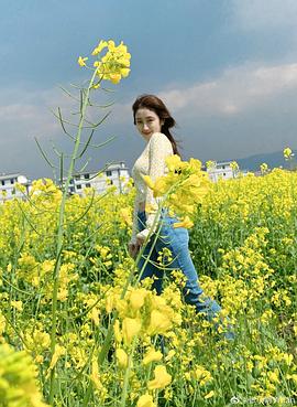 张小婉