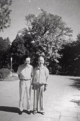杨振宁