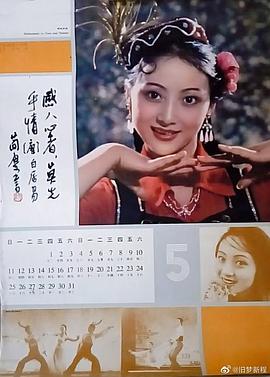 董智芝