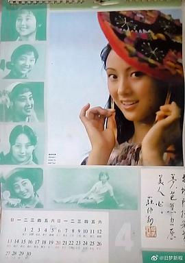 董智芝