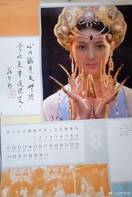 董智芝