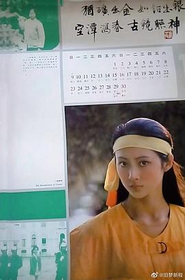 董智芝