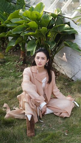 刘力菲