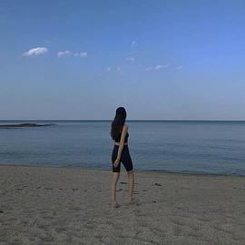 琴赛璐