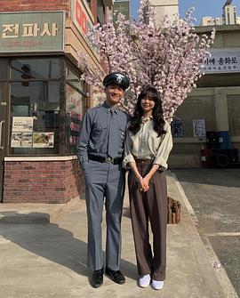 琴赛璐
