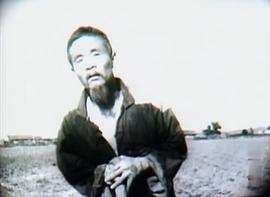 李柏林
