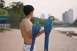 帕塔拉布特·金努库尔