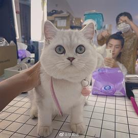 马闻远
