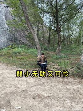 王彦鑫