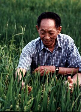 袁隆平