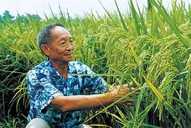 袁隆平