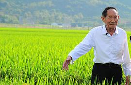 袁隆平
