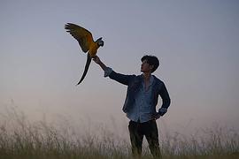 帕塔拉布特·金努库尔