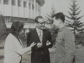 陈述