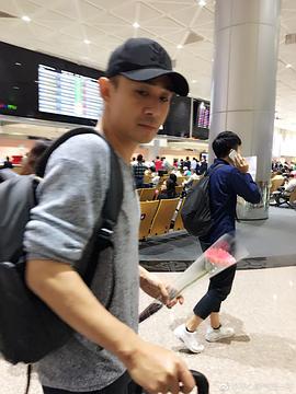 贾一平