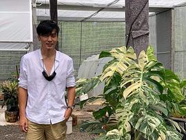 戈辛·拉查克罗姆