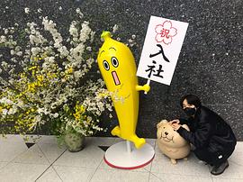 宫世琉弥
