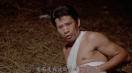 高飞
