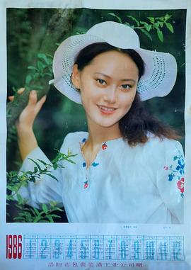 宋佳