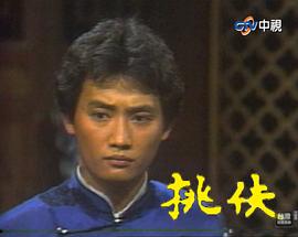 丁华宠