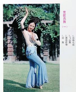 董智芝