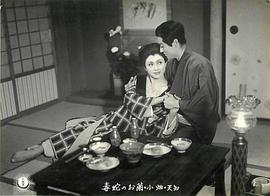 天知茂