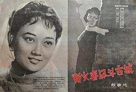 王晓棠