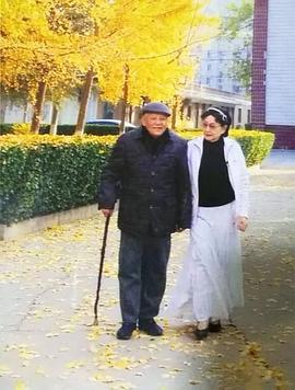 严寄洲