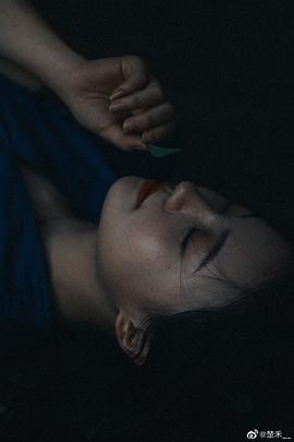 楚禾